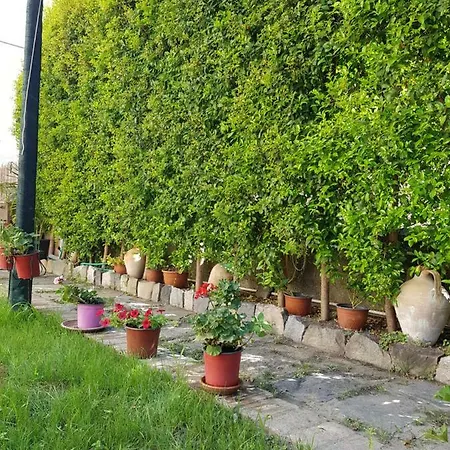 Apartment A Casa Vostra *